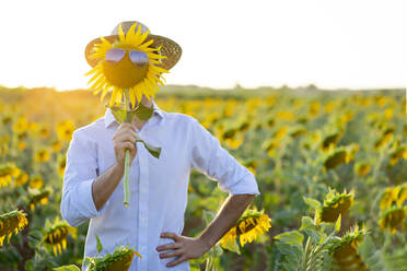 Junger Mann hält Sonnenblume mit Sonnenbrille vor dem Gesicht, während er auf einem Bauernhof bei Sonnenuntergang steht - CJMF00331