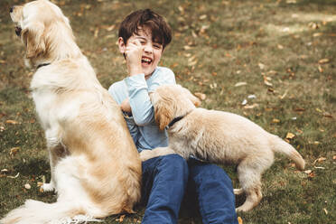 Child playing with dog and golden retriever labrador puppy outside - CAVF87895