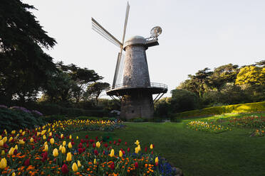 Windmühle in der Herbstzeit voller Blumen - CAVF87904