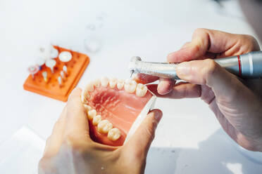 Von oben abgeschnittener anonymer Auszubildender eines Zahnarztes, der eine zahnärztliche Operation mit einem Bohrer durchführt und ein Zahnmodell herstellt, während er im Labor arbeitet - ADSF08772