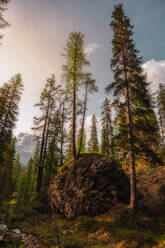 Malerische Landschaft mit großem runden Felsbrocken, umgeben von hohen grünen Kiefern im Wald in den Dolomiten Italien - ADSF08834