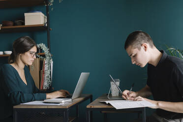Junger Mann und Frau arbeiten zu Hause am Schreibtisch - ALBF01318