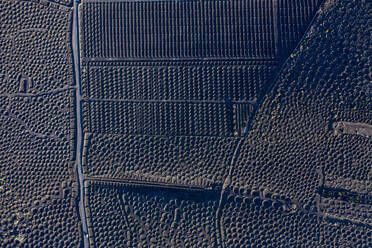 Luftaufnahme über Weinberge und schwarze vulkanische Erde, La Geria, Lanzarote, Kanarische Inseln, Spanien, Atlantik, Europa - RHPLF17177