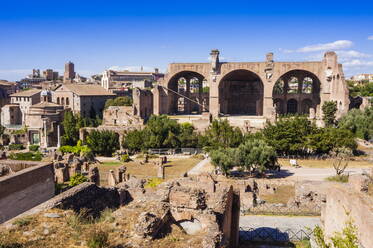 Maxentius- oder Konstantin-Basilika vom Palatin-Hügel aus gesehen, UNESCO-Weltkulturerbe, Rom, Latium, Italien, Europa - RHPLF17221
