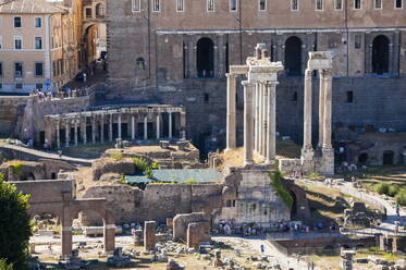 Roman Forum, seen from Palatine Hill, UNESCO World Heritage Site, Rome, Lazio, Italy, Europe - RHPLF17223