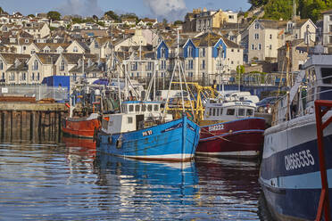 Fischerboote im Hafen von Brixham, dem geschäftigsten Fischereihafen der Südküste, in Torbay, an der Südküste Devons, Brixham, Devon, England, Vereinigtes Königreich, Europa - RHPLF17276