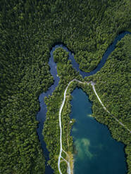 Russland, Republik Karelien, Sortavala, Luftaufnahme des grünen Waldes, der die Landstraße umgibt, der See Light und der Fluss Tohmajoki im Sommer - KNTF05098