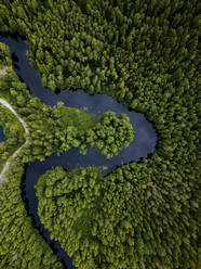 Russland, Republik Karelien, Sortavala, Luftaufnahme des grünen Waldes, der die Kurve des Flusses Tohmajoki umgibt, im Sommer - KNTF05100