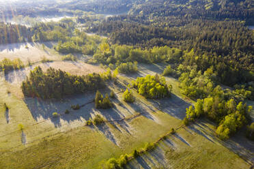 Drohnenansicht eines grünen Sommerwaldes in der Morgendämmerung - LHF00819