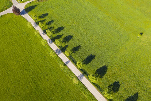 Deutschland, Bayern, Eurasburg, Luftaufnahme einer mit Bäumen gesäumten Landstraße im Sommer - LHF00821