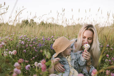 Mutter mit ihrer Tochter riecht an Blumen im Feld - EYAF01240