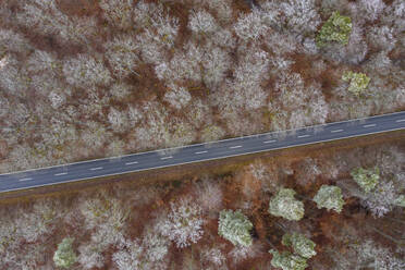 Deutschland, Bayern, Drohnenaufnahme einer asphaltierten Straße durch den Steigerwald im Winter - RUEF03017
