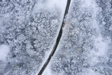 Drone view of asphalt road cutting through snow-covered forest in Franconian Heights - RUEF03034