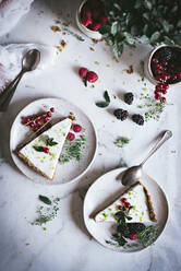 Lime pie with berries - ADSF09014