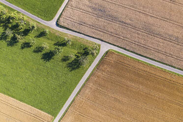 Germany, Baden-Wurttemberg, Aerial view of summer fields in Swabian Alps - WDF06136