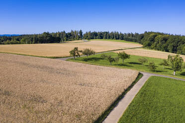 Deutschland, Baden-Württemberg, Luftaufnahme von Sommerfeldern auf der Schwäbischen Alb - WDF06138