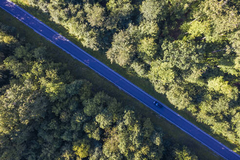 Luftaufnahme einer asphaltierten Straße, die durch einen grünen Fichtenwald auf der Schwäbischen Alb führt - WDF06141