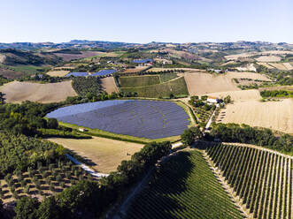 Italien, Marken, Luftaufnahme einer grünen Landschaft im Sommer - GIOF08600