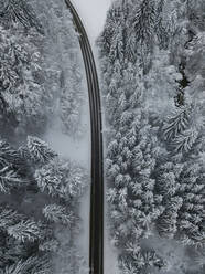 Aerial view of empty asphalt road cutting through snow-covered forest in Achtal - MALF00051