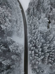 Luftaufnahme einer leeren Asphaltstraße, die sich durch den schneebedeckten Wald im Achtal zieht - MALF00051