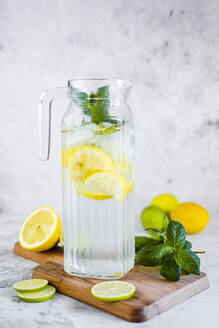 Detox water with lemon, lime and mint and ice cubes - GIOF08702