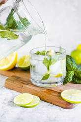 Detox water with lemon, lime and mint and ice cubes - GIOF08704