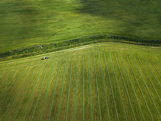 Luftaufnahme eines grünen Feldes auf dem Land - KNTF05125