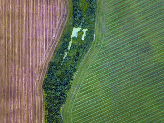 Aerial view of green and brown countryside field - KNTF05126