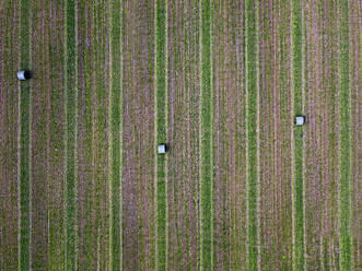 Aerial view of bales lying in green field - KNTF05127