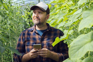 Porträt eines Landwirts mit Mobiltelefon in einem Gewächshaus - KNTF05156