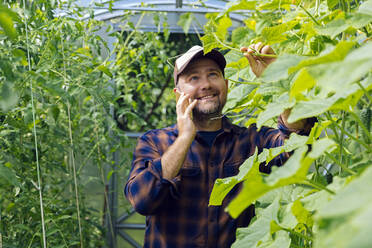 Portrait of smiling farmer on the phone in a greenhouse - KNTF05158