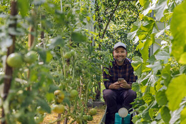 Porträt eines lächelnden Landwirts mit Mobiltelefon und Gießkanne im Gewächshaus mit Tomatenpflanzen - KNTF05168