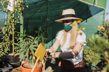 Mid adult woman wearing mask and hat examining plants in greenhouse - MRRF00231