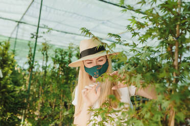 Female owner wearing mask and hat examining plant in greenhouse - MRRF00232