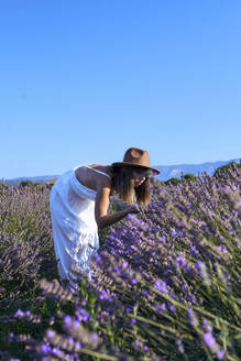 Frau in weißem Kleid riecht an Lavendelblüten, während sie auf einem Feld vor einem klaren Himmel steht - VEGF02617