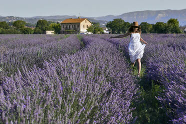 Unbekümmerte Frau in weißem Kleid und Hut läuft inmitten eines Lavendelfeldes - VEGF02619