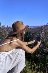 Woman wearing hat photographing lavender with smart phone against clear sky - VEGF02623