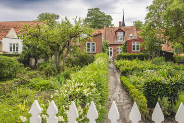 Dänemark, Region Süddänemark, Aeroskobing, Blumen blühen im Vorgarten eines traditionellen dänischen Hauses - KEBF01595