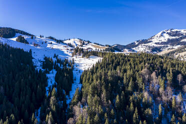 Blick aus dem Hubschrauber auf einen bewaldeten Gipfel im Mangfallgebirge - AMF08336