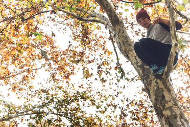 Niedriger Blickwinkel auf einen Mann, der im Herbst auf einen Baum klettert - EHF00719