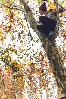 Mann sitzt im Herbst auf einem Baum - EHF00722