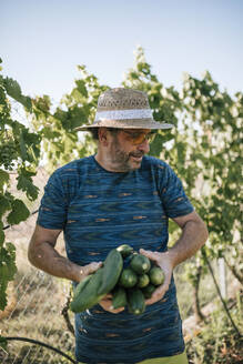 Mann hält frisch gepflückte Gurken auf einem Bauernhof - GRCF00322
