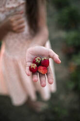 Nahaufnahme eines Mädchens mit Erdbeeren auf einem Bio-Bauernhof - GRCF00336