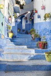 Bunte Topfpflanzen auf blauen Stufen inmitten von Häusern in Chefchaouen, Marokko - TAMF02683