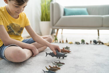 Junge arrangiert Spielzeugtiere auf dem Teppich im Wohnzimmer - SNF00449