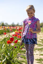 Lächelndes Mädchen, das eine Tulpe in der Hand hält, während es auf einem Feld gegen einen klaren Himmel an einem sonnigen Tag steht - JFEF00954