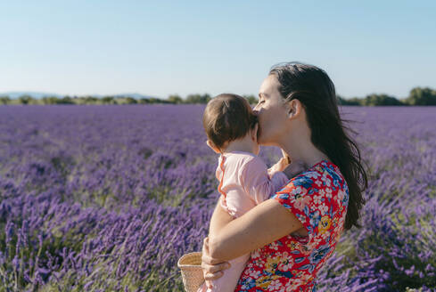 Frau steht in einem weiten Lavendelfeld mit einem kleinen Mädchen in den Händen - GEMF03974