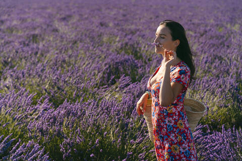 Porträt einer schönen Frau, die an blühendem Lavendel in einem weiten Feld auf dem Lande riecht, lizenzfreies Stockfoto