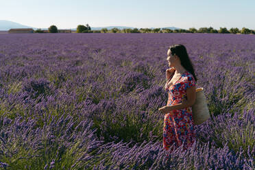 Portrait of beautiful woman standing in vast lavender field with basket in hand - GEMF03977