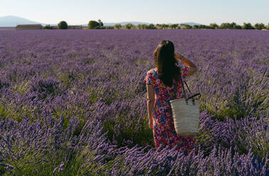 Woman standing in vast lavender field - GEMF03978